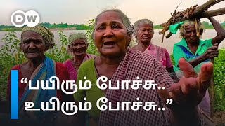 ”எல்லாம் வெள்ளத்துல போச்சு..உயிர் மட்டும் தான் இருக்கு” - நெல்லையின் அழுகுரல் | TN Floods | DW Tamil