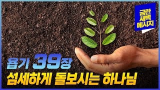 [금란 새벽메시지] 23.10.15(주일) 새벽예배_욥기 39장 / 김미례 목사