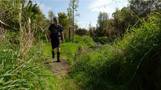 Ramaroa Forest Walk - Kāpiti Coast - New Zealand