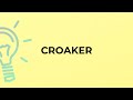 What is the meaning of the word CROAKER?