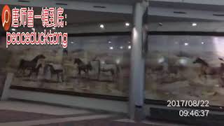 20200305唐师曾《阿拉伯纯种马》