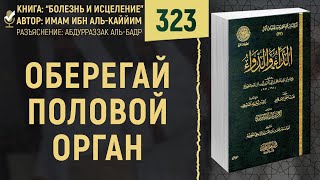 Оберегай половой орган | Болезнь и исцеление | №323