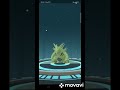 Evolving Hundred iv Pupitar into Tyranitar in Pokemon Go