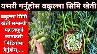 बकुल्ला सिमी खेती सम्बन्धी महत्वपूर्ण जानकारी || Bakulla Beans Farming in Nepal || Krishi Sandesh