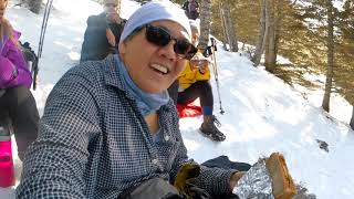 HA LING PEAK. CANMORE, ALBERTA CANADA