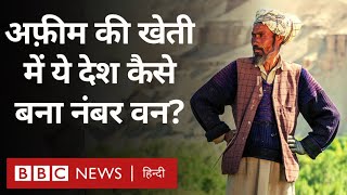 Opium Cultivation: Myanmar ने अफ़ीम की खेती में Afghanistan को कैसे पछाड़ा? (BBC Hindi)