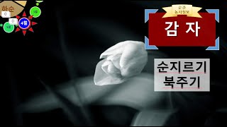 [농사정보(4월 하순)]  감자_순지르기 및 북주기