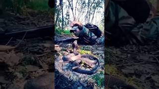 Gorkha v/s snake 🐍🐍Soldier vs Snake \u0026 Viral Video l #shorts nsg#commando#indianarmy#army#trending