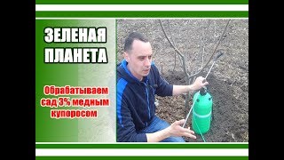 Спасаем сад от грибковых заболеваний / Обработка сада медным купоросом