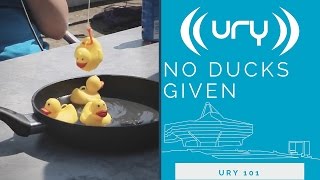 URY 101 // No Ducks Given