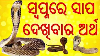 ସୋଇଥିବା ସମୟରେ ସାପ ସ୍ବପ୍ନ ଦେଖିଲେ କଣ ହୁଏ ଆସନ୍ତୁ ଜାଣିବା। କୋଟି ପତି କେତେ ଲୋକ ହେଇଯାଆନ୍ତି।