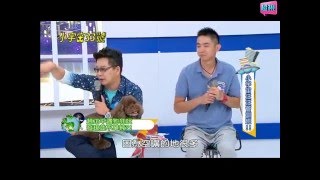 超視HD《小宇宙33號》你了解你的狗寶貝嗎?小宇宙汪汪管訓班!   第119集