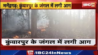 Manendragarh Forest Fire News: कुंवारपुर के जंगल में लगी आग। आग में झुलस रहे बहुमूल्य सागौन के पौधे