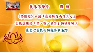 《金剛經》口訣「應無所住而生其心」怎樣運用於「樂、明、無念」的境界呢？ (國語) - 20 慈悲心與菩提心的觀修方法 啤嗎哈尊金剛上師 敦珠佛學會