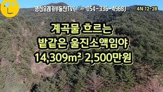 @영천유레카부동산tv#울진부동산#울진토지#울진땅#울진체류형쉼터#울진소액임야