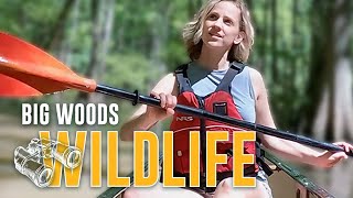 Inside Arkansas Episode 5: Big Woods Wildlife Water Tour