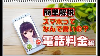 【スマホ料金プランの仕組み】かけ放題は注意が必要です。【電話料金編】