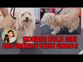 GROOMING BULU ANJING BERANTAKAN - MIKE GROOMING  HOUSE #1