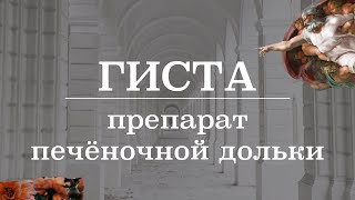 Препарат печёночной дольки | Гистология