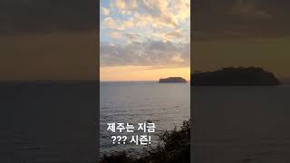 제주는 지금 ??? 시즌!