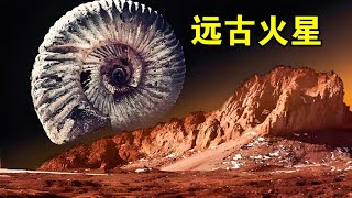 天文学家发现：在40亿年前，火星才是太阳系的宜居行星【宇宙观察】