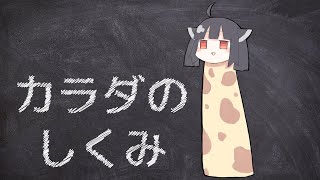 小さな姿を暴かれるきりたん・補講 【VOICEROID解説】