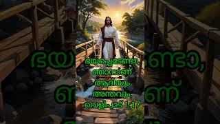 അനുദിന ദൈവ വചനങ്ങള്‍ l Daily Word of God I വെളിപാട്‌ 1:17 I Revelation 1:17 #biblestudy