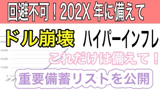 【サバイバル準備】米国債デフォルト・ハイパーインフレへの備え！2024から2025年は覚悟