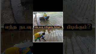 உங்களுக்கு எந்த நடவு பிடிக்கும்? #tnagriculture #agriculturalsystem #tamilnaduagriculture #tamil