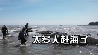 趕海遇到太多人搶海貨，這次只能撿他們剩下的，想不到也可以爆桶