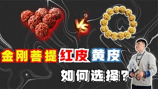 金刚菩提想要盘出“牛津红”，选红皮还是黄皮？底子真的很重要！