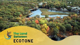 What’s An Ecotone? | The Land Between