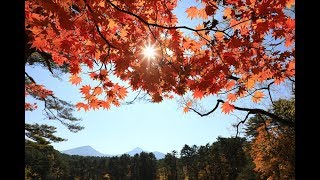 福島旅遊．自駕賞楓4日行程】只見線．大內宿．郡山站前購物．湯野上溫泉站．五色沼．觀音沼公園．新宮熊野神社．鶴城．會津美食：醬炸豬排飯、輪箱飯．中津川溪谷．採蘋果．二本松城跡