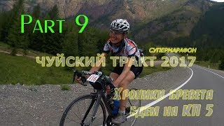 ЧТ 2017. Хроники бревета. едем на КП5