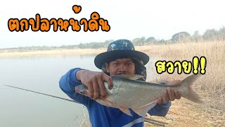 EP.8 🌳ตกปลาหน้าดิน🎣 ปลาไม่ค่อยกินแต่ก็ยังมีตัว🎣🐟(ตกปลาบึงใหญ่)🌄