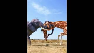 Giraffe Vs Elephant fight for Water -Save water 💧 -#Shorts#Viral#Trending#Comedy#Entertainment