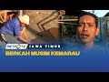 Berkah Musim Kemarau Untuk Pengrajin Batu Bata