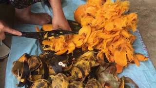 ត្នោតទុំ /tnaot toum / Palm Fruit / Asian palmyra palm Fruit