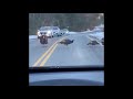 turkey halts traffic on new hampshire road so others can cross