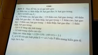 Cách giải dạng bài toán nghịch trong lai 2 cặp tính trạng