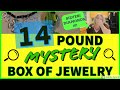 HUGE MYSTERY JEWELRY BOX UNBOXING | 14 POUND GOODWILL JEWELRY BOX Opening Unjarring Reveal SILVER