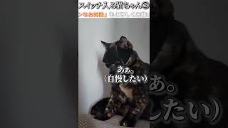 猫のおもしろ動画にツッコミどころ満載なアフレコしてみた＃217【今年もよろしくお願いします】【ハプニング映像】#shorts　#アフレコ #面白動画