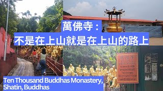 萬佛寺 : 不是在上山就是在上山的路上 Ten Thousand Buddhas Monastery, Shatin, Buddhas