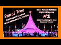 #1 Best Public Holiday Lights Display | Sandi Tree - 