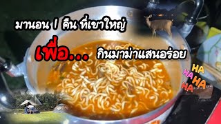 29.มานอนกางเต้นท์เอาบรรยากาศ 1คืน|อุทยานแห่งชาติเขาใหญ่|ลางกางเต้นท์ลำตะคอง|30มิ.ย2567