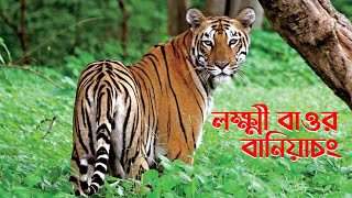 লক্ষ্মী বাওড় | খরতি | বানিয়াচং | লক্ষী বাওর