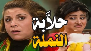 البخيل متل الكديش بيحمل دهب وبياكل حشيش ام محمود حلابة النملة جايبة هدايا بيشبهوها