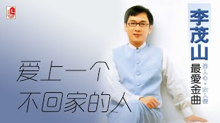 李茂山 - 爱上一个不回家的人（Official Lyric Video)