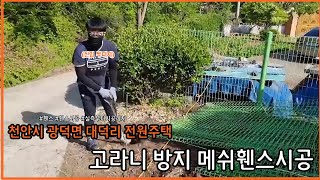 [야생동물 Stop] 천안시 광덕면 대덕리 전원주택 고라니 방지 메쉬휀스시공