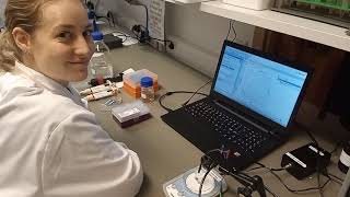 Testing a sodium sensor and testing for interference with potassium